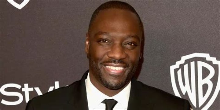 Adewale Akinnuoye-Agbaje Net Worth | Celebrity Net Worth