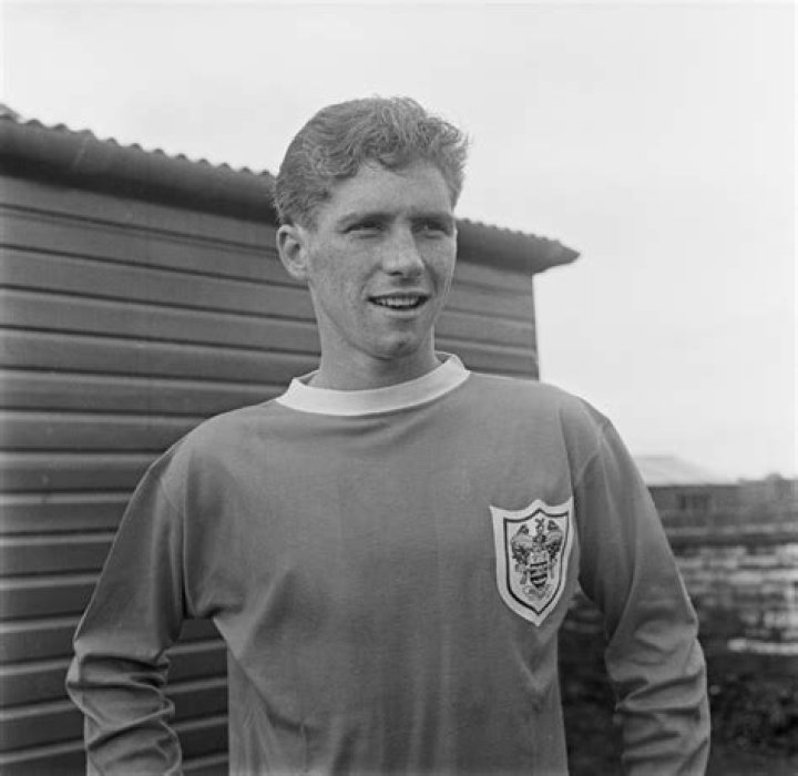 Alan Ball Net Worth | Celebrity Net Worth