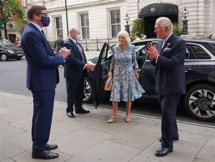 Alex Beard Net Worth | Celebrity Net Worth