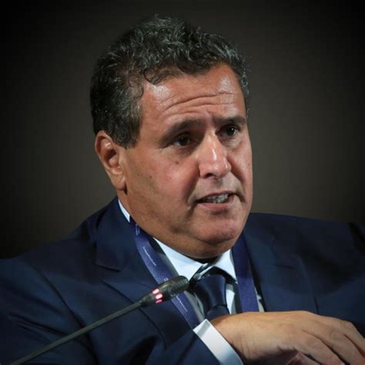 Aziz Akhannouch Net Worth | Celebrity Net Worth