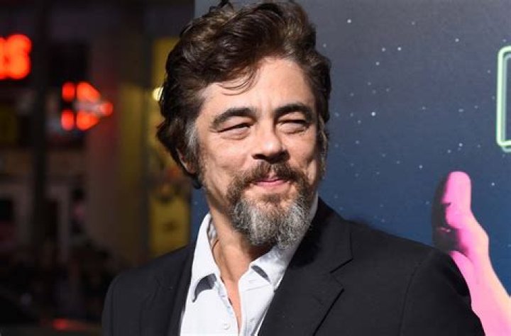 Benicio del Toro Net Worth