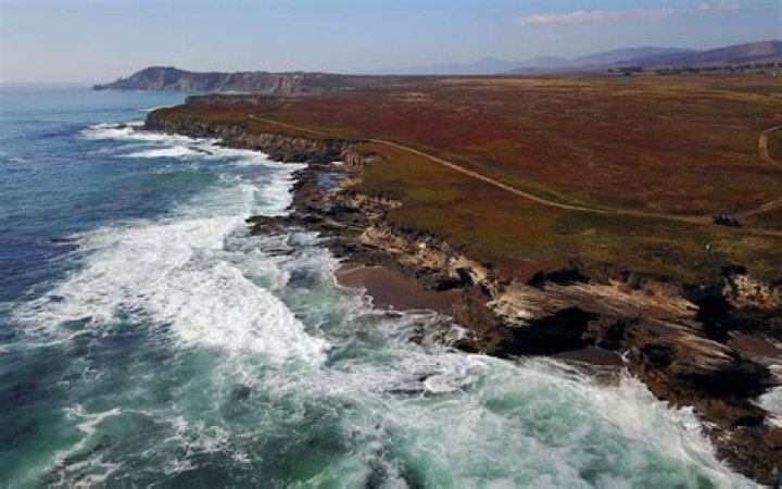 Billionaires Jack and Laura Dangermond Make $165M Donation To Preserve A Piece Of California Coastline