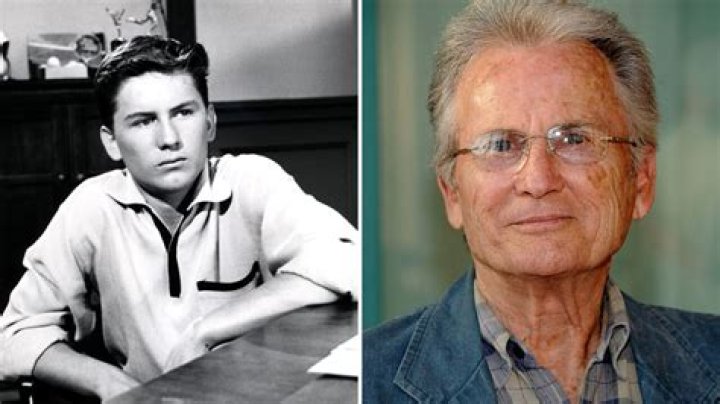 Billy Gray Net Worth | Celebrity Net Worth