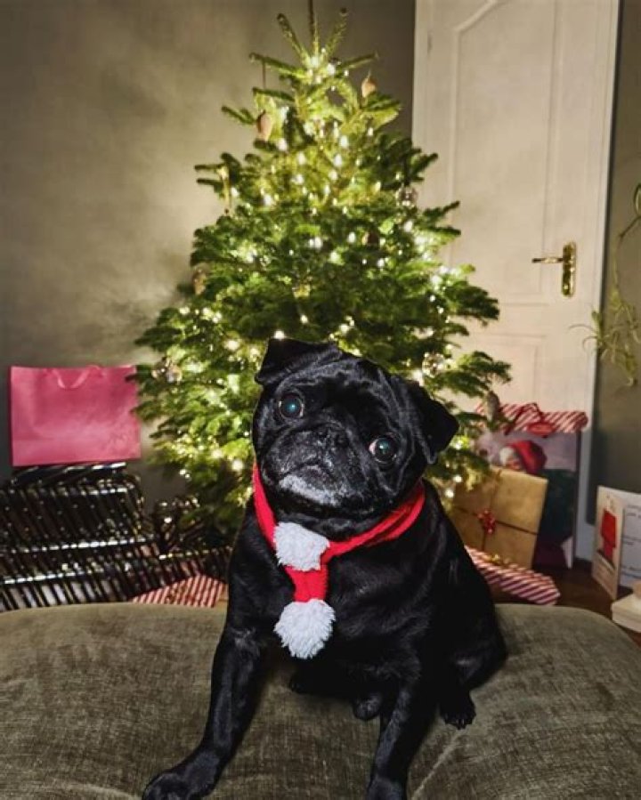 Boris Karloff Net Worth | Celebrity Net Worth