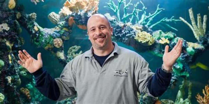 Brett Raymer Net Worth | Celebrity Net Worth