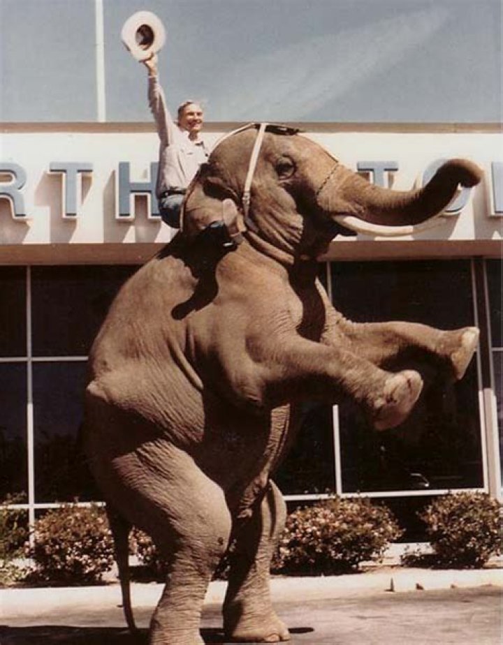 Cal Worthington Net Worth | Celebrity Net Worth