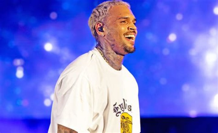 Chris Brown Net Worth | Celebrity Net Worth