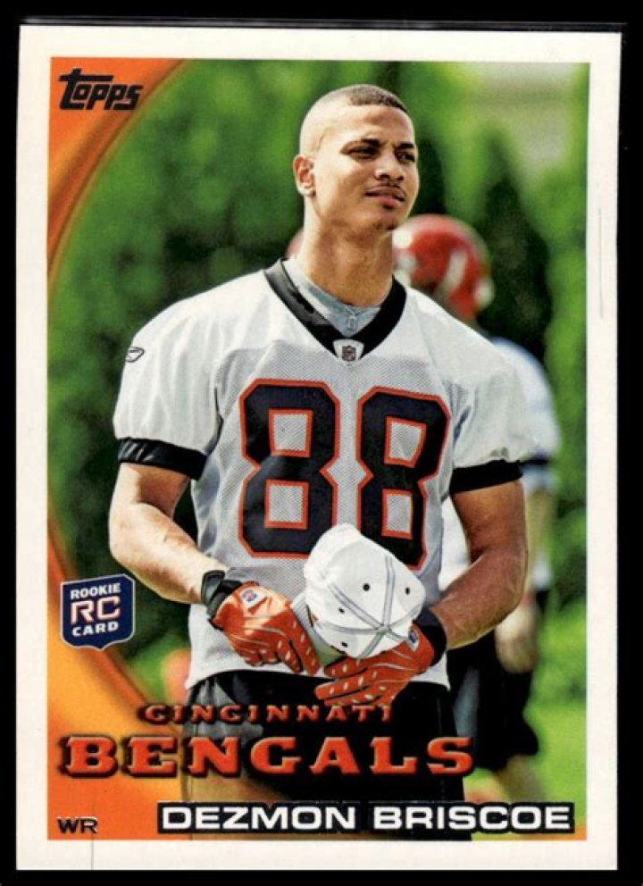 Dezmon Briscoe Net Worth | Celebrity Net Worth