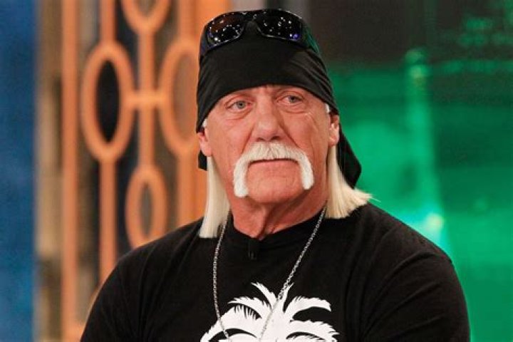 Hulk Hogan Finally Reaches Settlement Worth Millions With Gawker