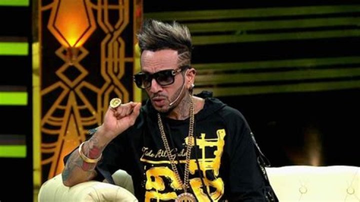 Jazzy B Net Worth | Celebrity Net Worth