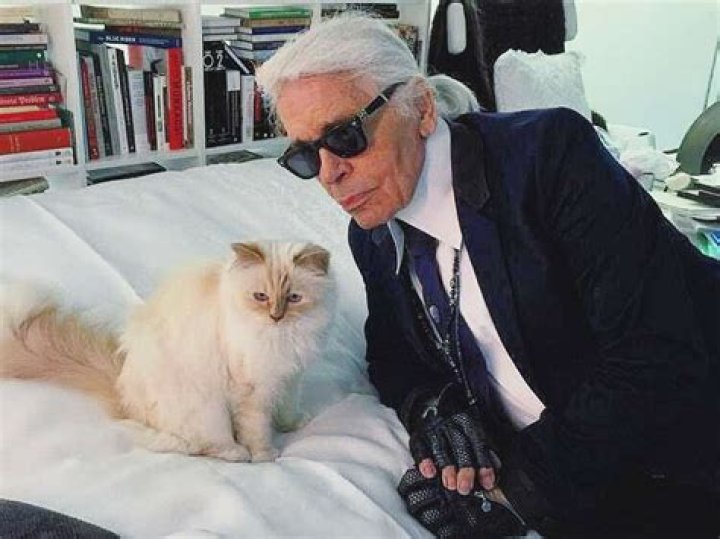 Karl Lagerfeld's Cat, Choupette, Might Inherit His $300 Million Net Worth