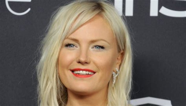 Malin Akerman Net Worth | Celebrity Net Worth