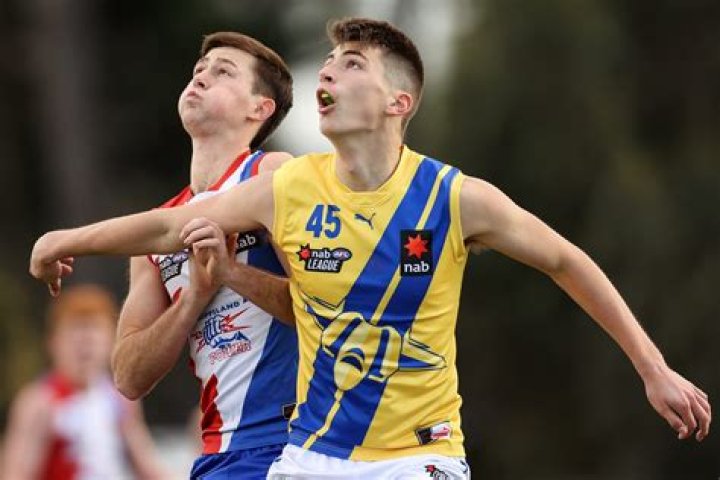 Mason Hawkins Net Worth | Celebrity Net Worth