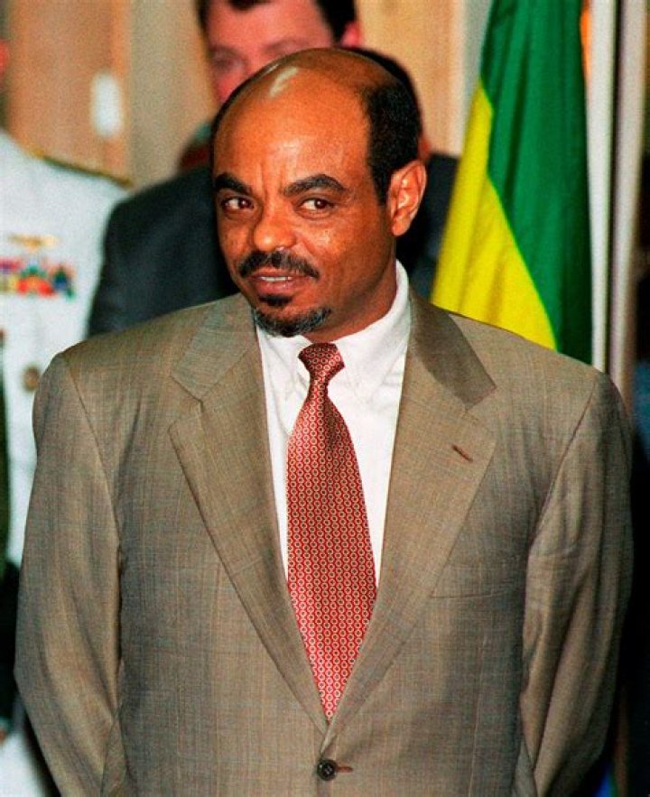 Meles Zenawi Net Worth | Celebrity Net Worth