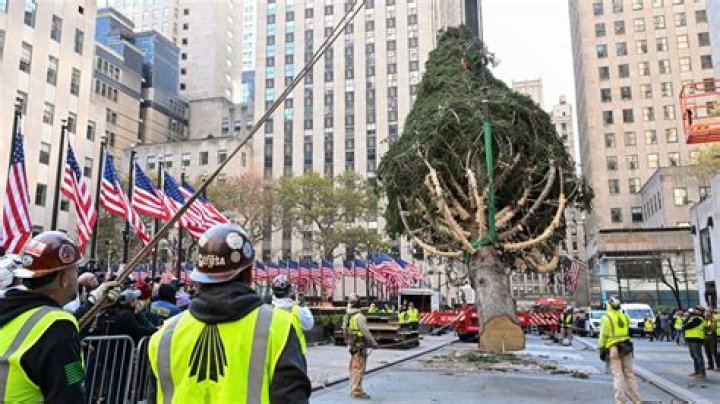 Relatives Of Famous People And The $10 Million Fight Over New York City Tree