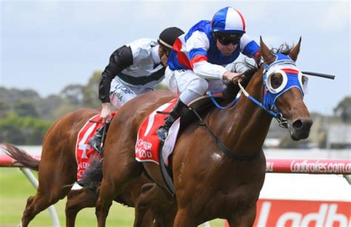 Ryan Moloney Net Worth | Celebrity Net Worth