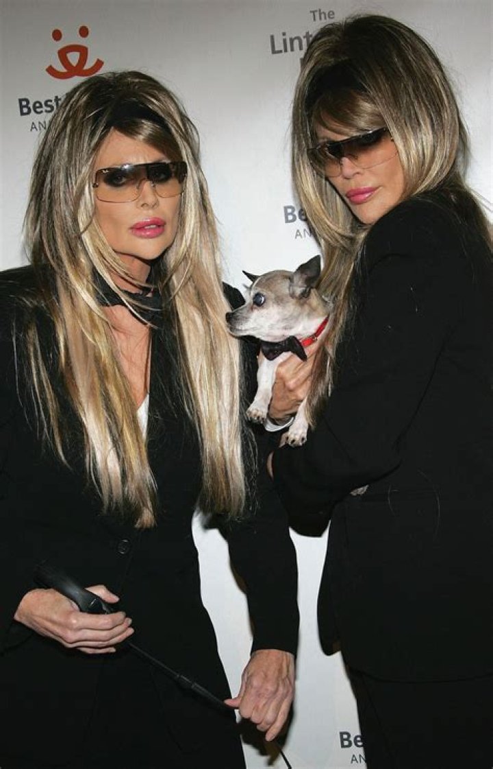 Shane Barbi Net Worth | Celebrity Net Worth