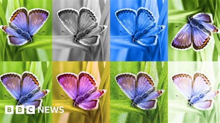 Six Ways Really Rich Celebrities Can Still Be Really Cheap