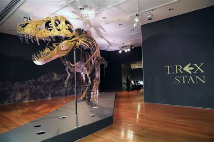 The Fossilized Tyrannosaurus Rex Known As Stan Sells For $32 Million, Breaking A Price Record For Dinosaurs