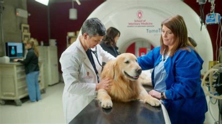 WeatherTech Founder So Grateful To Vet Clinic That Saved His Dog's Life, He Took Out $6 Million Super Bowl Ad To Thank Them  