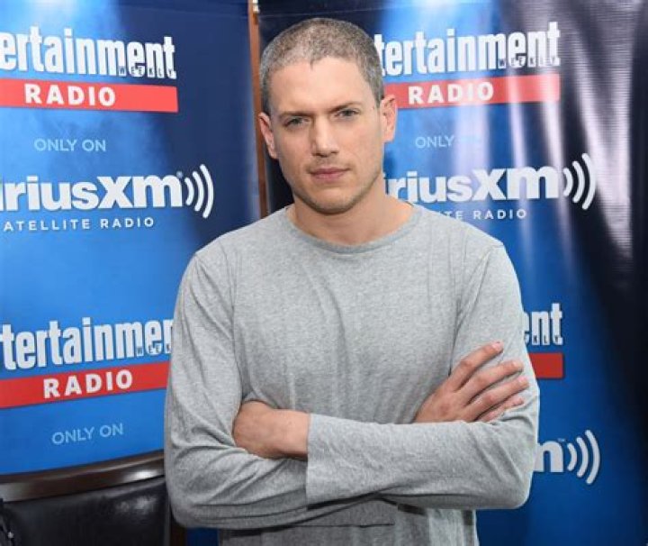 Wentworth Miller Net Worth | Celebrity Net Worth