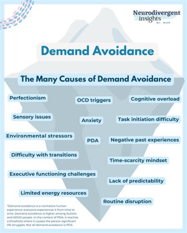 You Won't Believe Ludacris's Ridiculous Demands For A 13-Minute Performance!